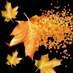 Falling Leaves | Melodic Techno Set by Simetra