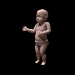 chicken nugget