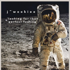 Looking For That Perfect Feeling