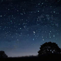 Insomnia