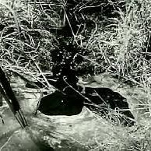 Do Wacha Want Bubbling Crude (STBB#837)
