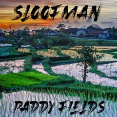 Paddy Fields