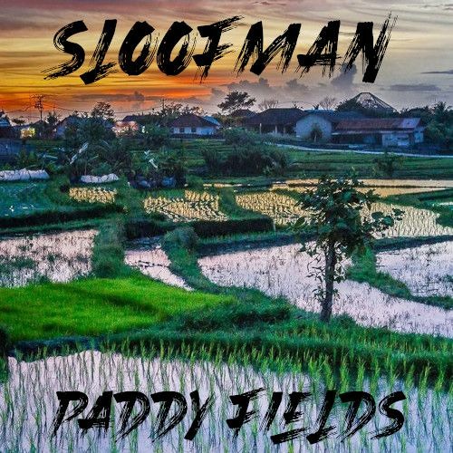 Paddy Fields