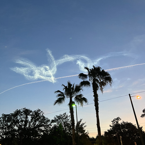 dom corleo + tracy 2 mars - imz (luka) [$hmoney exclusive]