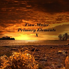 Primary Elements X