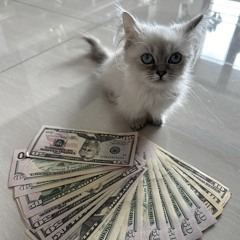 3 bands (prod. irving)