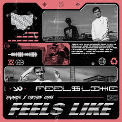 PRIMATE - FEELS LIKE (FT CAPTAIN BASS)