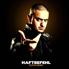 HAFTBEFEHL HALT DIE FRESSE 01 NR. 32 (OFFICIAL VERSION AGGROTV).mp3