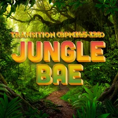 Jungle Bae (DJさっしー 145~128 Transition ReEdit)[Buy=Free Download]