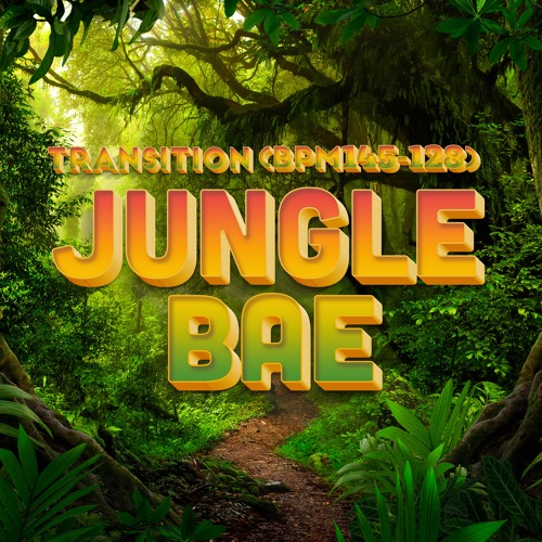 Jungle Bae (DJさっしー 145~128 Transition ReEdit