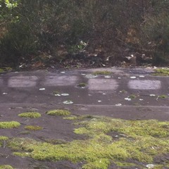 mix for hallo echo (17.6.21)