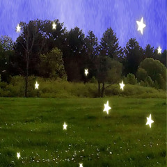 ⋆.˚˖࿔  alchemy