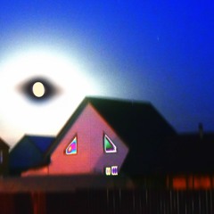 visie