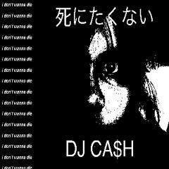 死にたくない (Feat. PinkOpal)