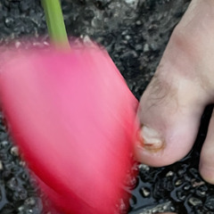 take it from the man