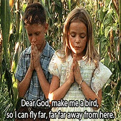 Dear God, make me a bird, so I can fly far, far far away from here.