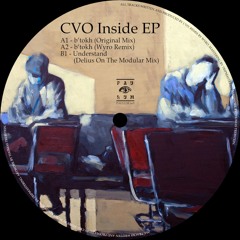 Premiere : CVO - b'tokh (Wyro Remix) (PAULUM005)