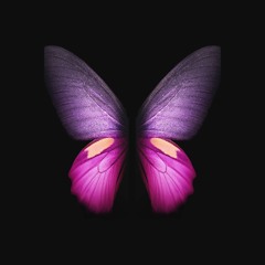 Live Astra Rooftop Miami - Pink Butterfly