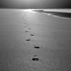 Episode #229 ***FOOTPRINTS***