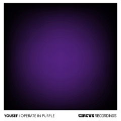 Premiere: Yousef with Perri - Then | Circus Recordings