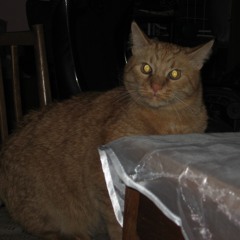 трек про бывших