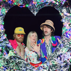 Disco Drongos at Wairau Pride 2025