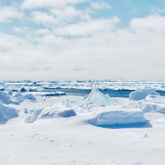 wlr144 glåsbird - antarctica