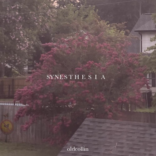 synesthesia