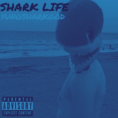 SHARK LIFE