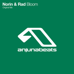Bloom (Extended Mix)