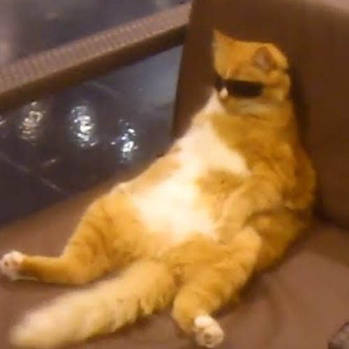 MegaCoolesFrenchcoreSet.wav