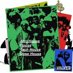Afro House / House / Tech House / Deep House 01.02.2023