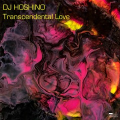 PREMIERE | DJ Hoshino - This Time It Feels Right [Critique] 2022