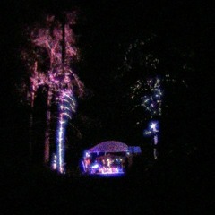 Tardigradecore DJ Set (mais que la dernière moitié) (AG Sans Un Bruit 2025).flac