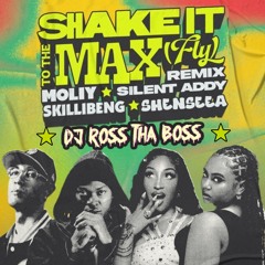 Shake It To The Max [Fly] (DJ Ross tha Boss Remix)