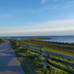 "The system was not made for us" Walking-With Abigail