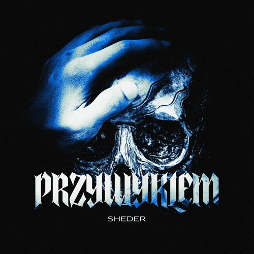 PRZYWYKŁEM .wav