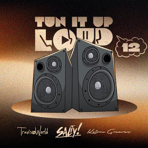 TUN IT UP LOUD 12 (EXPLICIT) - Salty & Travis World | Mixtape