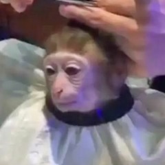 deep(Hole) XXX Se(G)faney - I Want To Be Monkey (Future Music Edit)