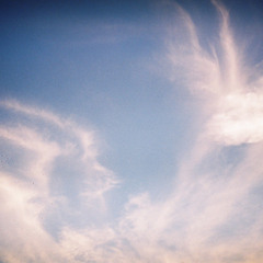 Love like you by Rebecca Sugar(A cover by Olive Lenon)