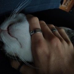 JE SUIS UN CHAT !!!!!!! [Remix] @Mazgi