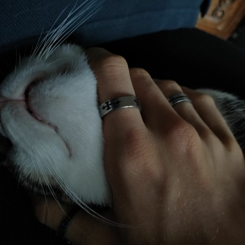 JE SUIS UN CHAT !!!!!!! [Remix] @Mazgi