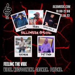 Feeling the Vibe w/ Vibez, KegFoolVenz, Gasman & PatDNB - Aaja Channel 2 - 11 10 22