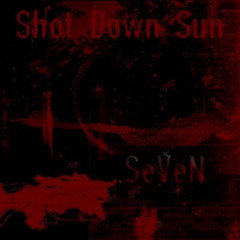 Shot Down Sun - A Perfect Murder