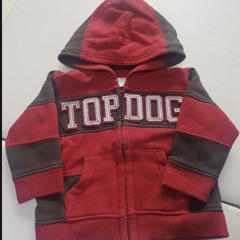 Topdog(prod.27corazones beats)