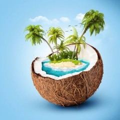 Coconut Island