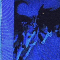 Roar (prod. heath stone)