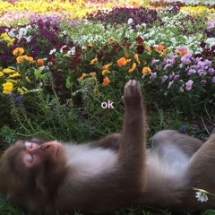 relieved (prod. swipe)