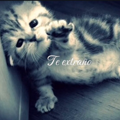Te extraño