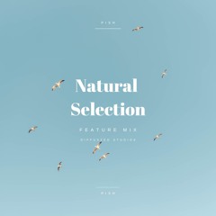 Pish @ Natural Selection [Diffuszed Studios]